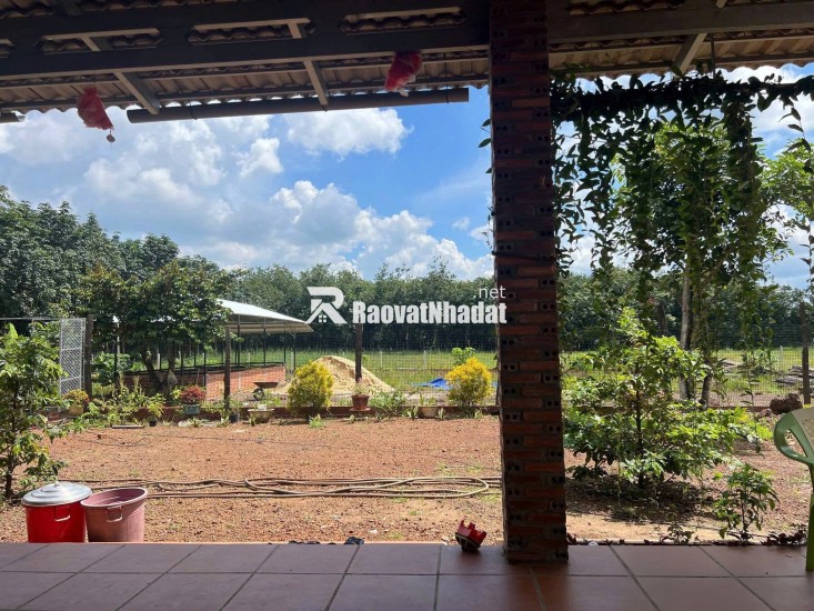 Kinh doanh thua lỗ bán nhanh nhà 2290m2 đất sổ riêng gần ngay khu công nghiệp đang hoạt động. Giá 380tr